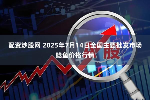配资炒股网 2025年7月14日全国主要批发市场鲶鱼价格行情