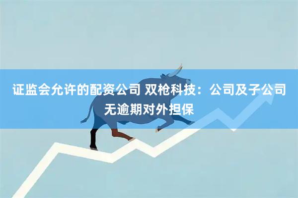 证监会允许的配资公司 双枪科技：公司及子公司无逾期对外担保